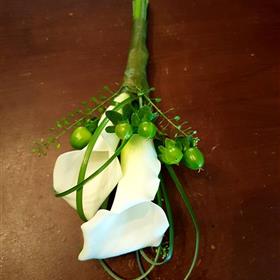 fwthumb20170505_163145b.jpg